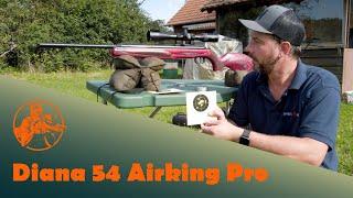 Diana 54 Airking Pro at the shooting range