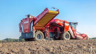 VENTOR 4150 | GRIMME | Selbstfahrender Kartoffelroder