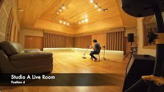 Tree Recording Studio - Positions in Rooms