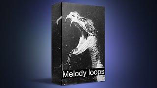 [FREE] SAMPLE PACK / LOOP KIT | MELODY LOOPS (Samples for Drill,Hip-Hop and Trap) | vol.110