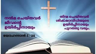 John 5:19-29 അനുസരണത്തിലൂടെ നിത്യജീവനിലേക്ക് Fr. Anto Thunduparampil CMI