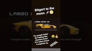 Lambo Mode: On  Bitgert to the moon  #Brise #Bitgert #crypto #blockchain