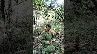 video short yos hav zoov txua raj cuab nas #animal #hunting #yoshavzoov #huntingbus #เดินป่า