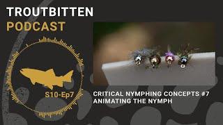 Critical Nymphing Concepts #7 -- Animating the Nymph: The Troutbitten Podcast - S10, Ep7