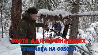 Промысловая охота для начинающих.Приманка на соболя и белку.