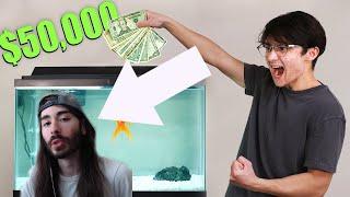 Moistcr1tikal Reacts to New Michael Reeves Video 'I Gave My Goldfish $50,000 to Trade Stocks'