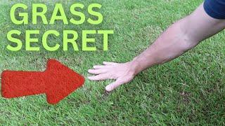 How to Grow Grass in Large Areas with an Erosion Control Blanket