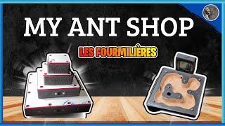 I suggest you discover a new ant shop (without ants currently) MY ANT SHOP