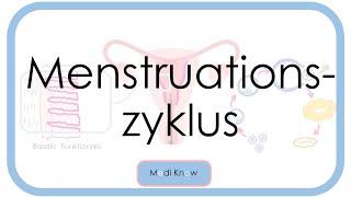 Menstruationszyklus - Ovulation - Hormonelle Regulation (GnRH, FSH, LH, Östradiol, Progesteron)