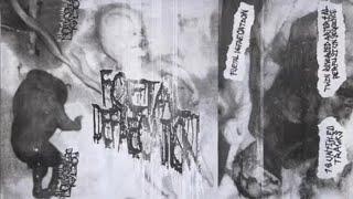 Foetal Defecation - Twin Reversed Arterial Perfusion Sequence [Full Album] (Harsh Gorenoise)