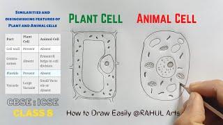 How to Draw Plant and animal cell diagram Class 8