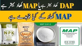 What is MAP Fertilizer || Which is Better: DAP Fertilizer or MAP Fertilizer?  || Shahzad Munir