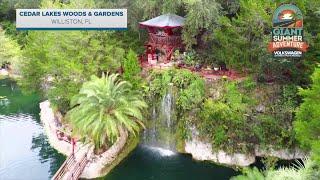 Cedar Lakes Woods and Gardens in Williston, FL | Giant Summer Adventure