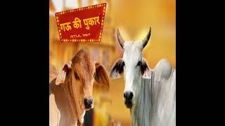 GAU KI PUKAR | गऊ की पुकार | New gau mata song | Atul beri wala| #song