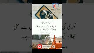 Bakri Ki Izzat | Hadees short video | Hadees Mubarak | Hadees in Urdu