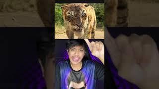 BOCIL INI NANTANGIN SINGA DI HUTAN‼️ | Ale Khin #shorts #film #storytime