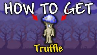 How to get Truffle in Terraria | Truffle Terraria