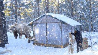 15 Days Alone in the Forest: My Winter in the Cabin From December to March