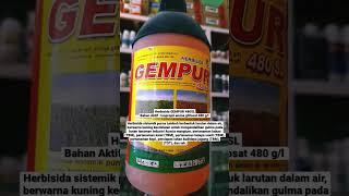 kalau kau ingat kepadaku, aku juga bakal ingat kepadamu  PESTISIDA (HERBISIDA GEMPUR 480SL)