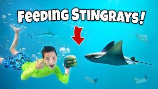 WE SWIM with STINGRAYS and SHARKS!? Kids Myrtle Beach adventure