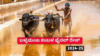 ಬಳ್ಳಮಂಜ ಕಂಬಳ 2024-25 ಫೈನಲ್ ರೇಸ್ | ballamanja kambala final race 2024-25