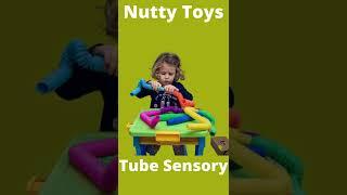 nutty toys 8pk pops tube sensory toys for baby enjoyment Tabish Toys Collection#shorts