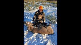 2022 whitetail hunting medicine hat ab