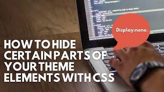 How to hide certain parts of your theme elements with CSS | Wordpress Tutorial 2022