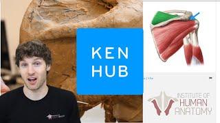 The BEST Way to Study Human Anatomy | An In Depth Look at the Kenhub Anatomy Platform