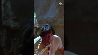  Amitabh Bachchan fights with guns ‍️ #shorts #fight