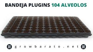 Bandeja Plugins 104 alveolos | Growbarato - GB The Green Brand