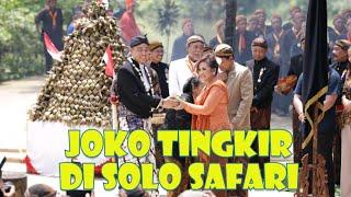 Solo Safari Menjaga Tradisi Syawalan Bakdo Kupat dan Joko Tingkir