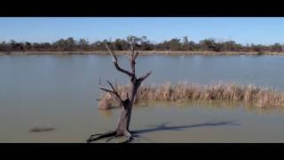 Gurra Gurra Wetlands