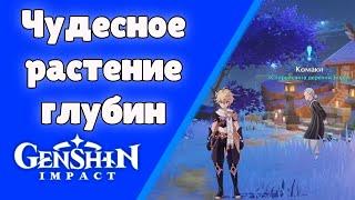 Чудесное растение глубин. Задания мира 61. | Genshin Impact