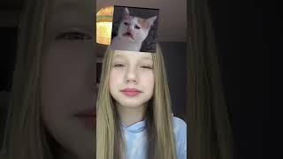 WELCHE KATZE BIN ICH ?  LUSTIGE TIKTOK FILTER | HEY ISI #shorts