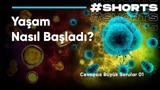 Yaşam Nasıl Başladı? - Cevapsız Büyük Sorular 1 #shorts