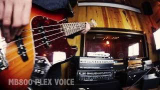 Gallien Krueger PLEX Preamp Amp Voices Vs. Analog Amps