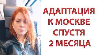 Сравнение России и Аргентины. Какие отличия я заметила после 10 лет жизни в Аргентине