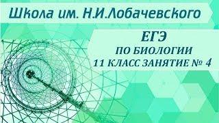 ЕГЭ по биологии 11 класс Занятие №4 Подцарство многоклеточные  Тип плоские черви