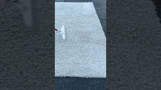 Satisfying raking brushing a white shaggy high pile rug #short #relaxing #asmr #rugwashing #fyp #sub