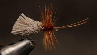 Goddard Caddis