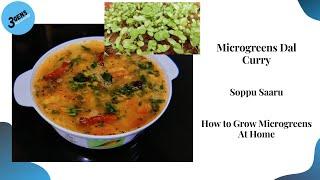 MICROGREENS DAL CURRY || SOPPU SAARU || HOW TO GROW MICROGREENS AT HOME || 3Gens Kitchen