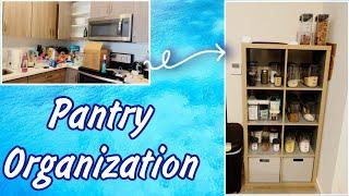 Moving Vlog: Pantry Organization | Tiffany Arielle