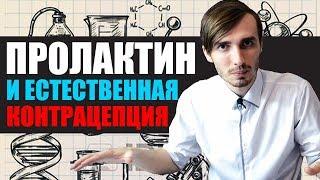 Пролактин и природная контрацепция или зачем людям месячные | LOONY