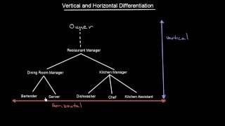 Vertical and Horizontal Differentiation | Organizational Design | MeanThat
