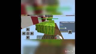 playing Minecraft