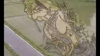 Time-lapse video of rice paddy art