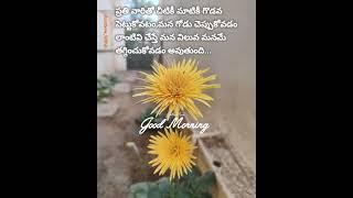 #goodmorning#motivation#never#share#our#personal#morning#teluguquotes #shorts#quotes#telugu#ytshorts