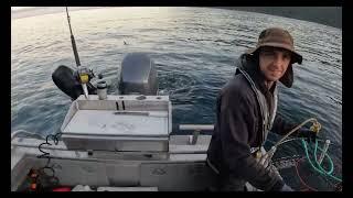 BLUEFIN TUNA fishing in Fiordland New Zealand