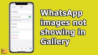 Gambar WhatsApp Tidak Ditampilkan Di Galeri (UNTUK iPHONE)- 3 Cara Memperbaikinya